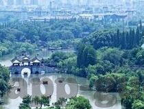 91和麻豆-擦肩而过的网络风景，数字背后的人性探索
