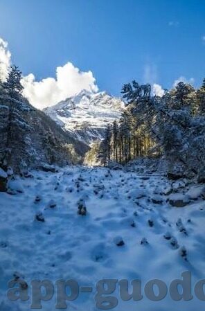 91麻豆不卡视频-探寻91麻豆不卡视频的最佳观影体验
