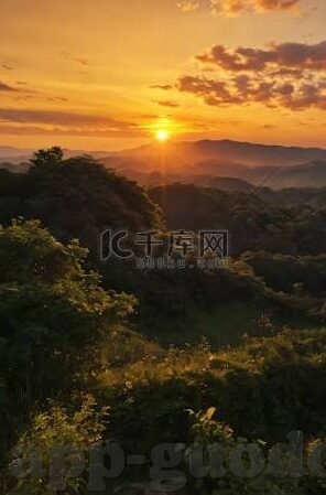 91麻豆网站进入-一、91麻豆网站的兴起与特点