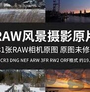 果冻传媒演员-探寻果冻传媒演员的多元魅力与行业影响