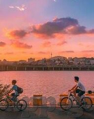 韩婧格视频麻豆-韩婧格，视频麻豆的独特魅力与影响