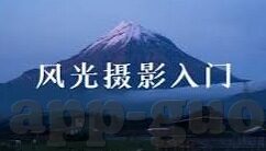 麻d传媒国产大象-麻d传媒国产大象，文化与创新的双重探索