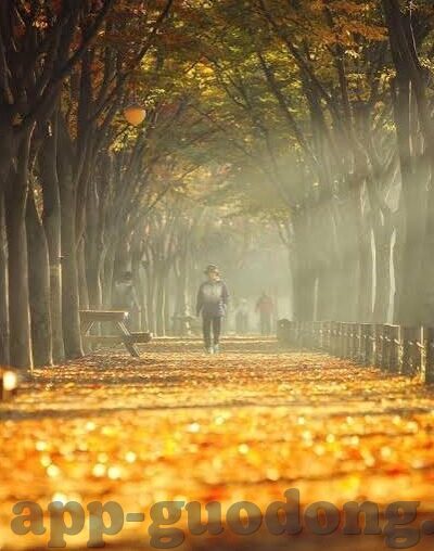 麻豆91app-