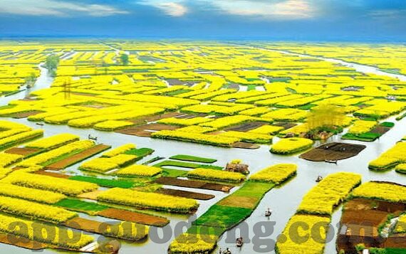 麻豆视频传媒app下载-麻豆视频传媒APP，窥看新模式的潮流与争议