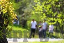 糖心app下载网址进入-回归纯净，解锁APP下载的真正价值