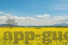 糖心app一对一下载-舔掌心跳动，揭秘糖心的独特魅力与一对一下载奥秘