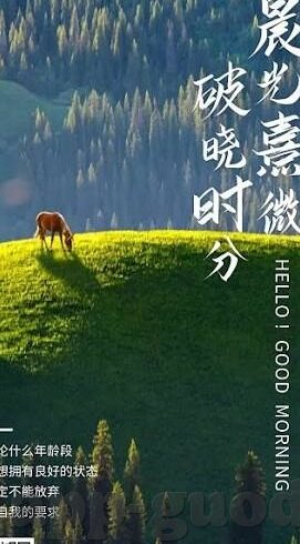 正在播放风间由美中文字幕-正在播放，风间由美的中文字幕——探寻角色背后的情感与深度